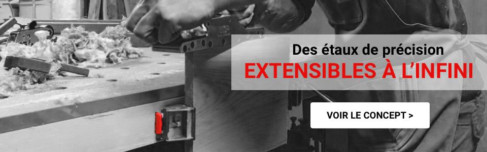 Etaux de precision